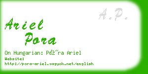 ariel pora business card